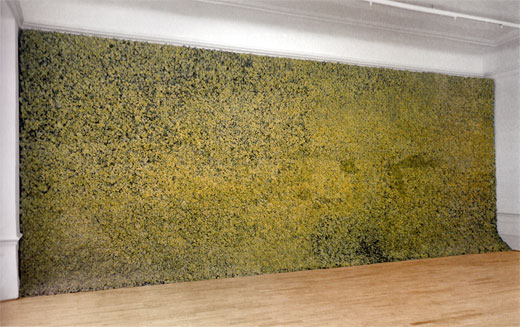 Olafur Eliasson's Moss Wall, living arctic moss installed in a gallery