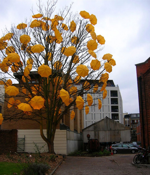 tree with umbrellas from ffffound