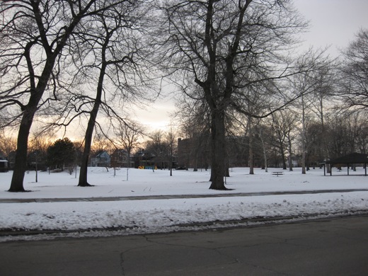 a park nearby the LadyBug Gallery