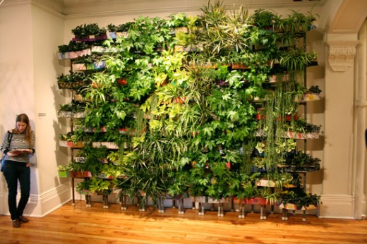 Living Wall by Adam Harris & Parimal Gosai