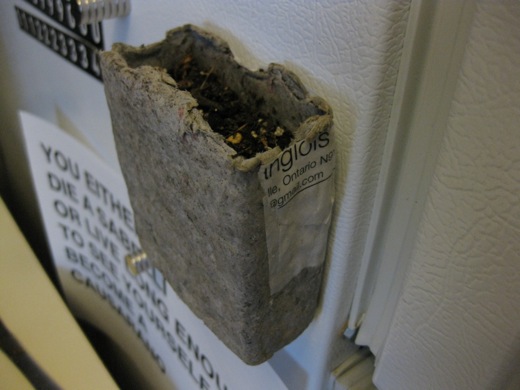 planter drying on the fridge