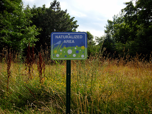 Naturalized Area