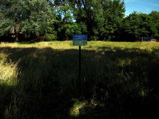 the sign at the park