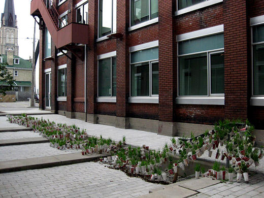 University of Waterloo's School of Architecture