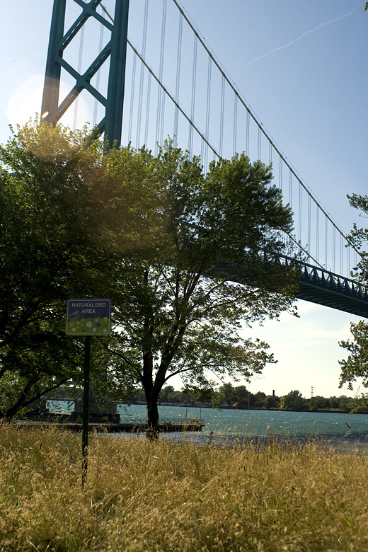 the sign + the bridge