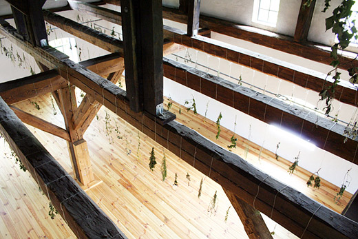 04hanging-garden