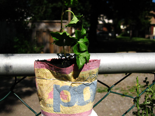 Broken City Lab's Magnetic Planters