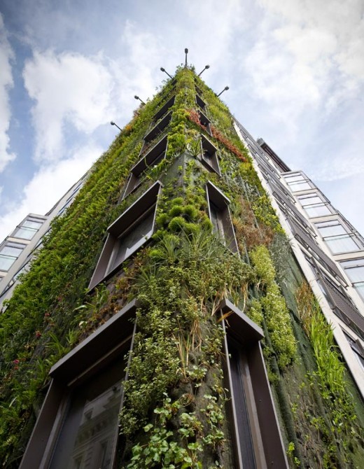 Patrick Blanc's Vertical Garden