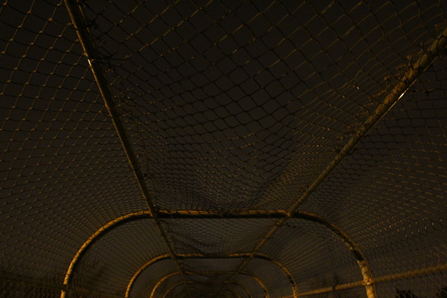 IMG_6690