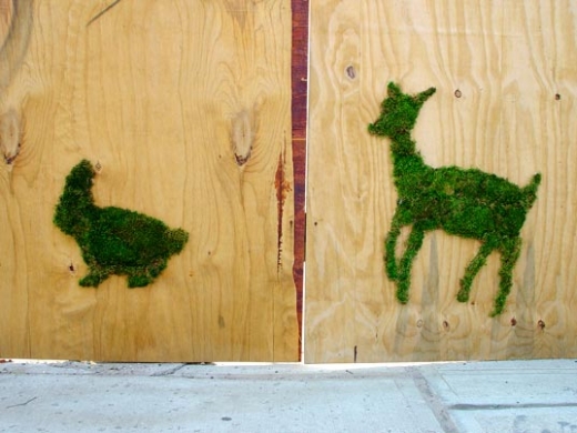 moss street art by Edina Tokodi