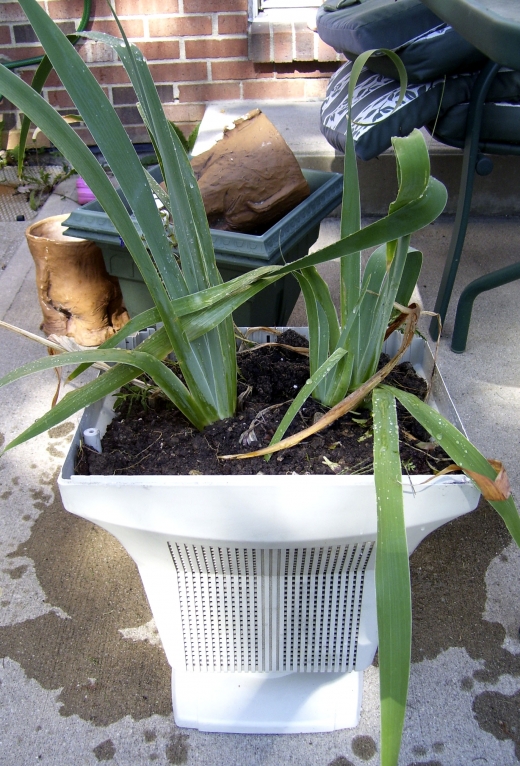Monitor your Plants Computer Monitor Planter